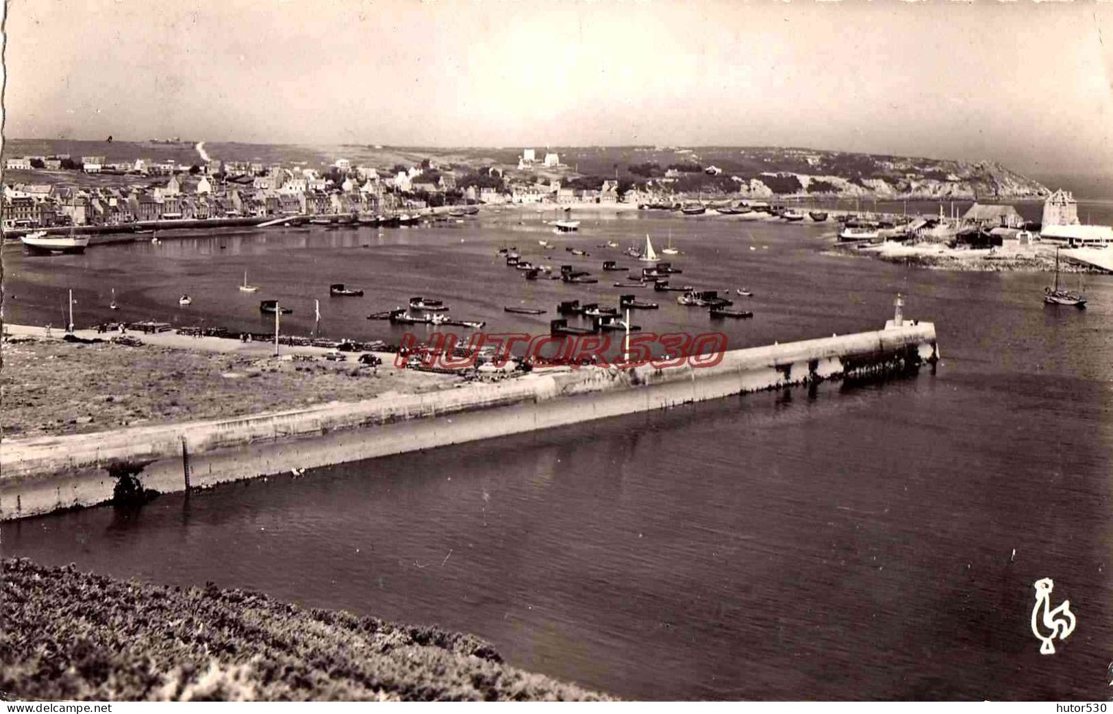 CPSM CAMARET - FINISTERE - VUE DU PORT - Camaret-sur-Mer