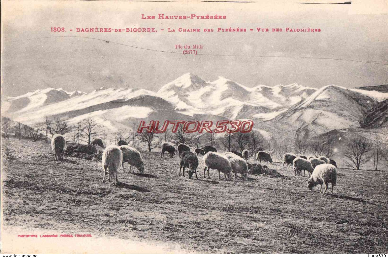 CPA BAGNERES DE BIGORRE - VUE DES PALOMIERES - Bagneres De Bigorre