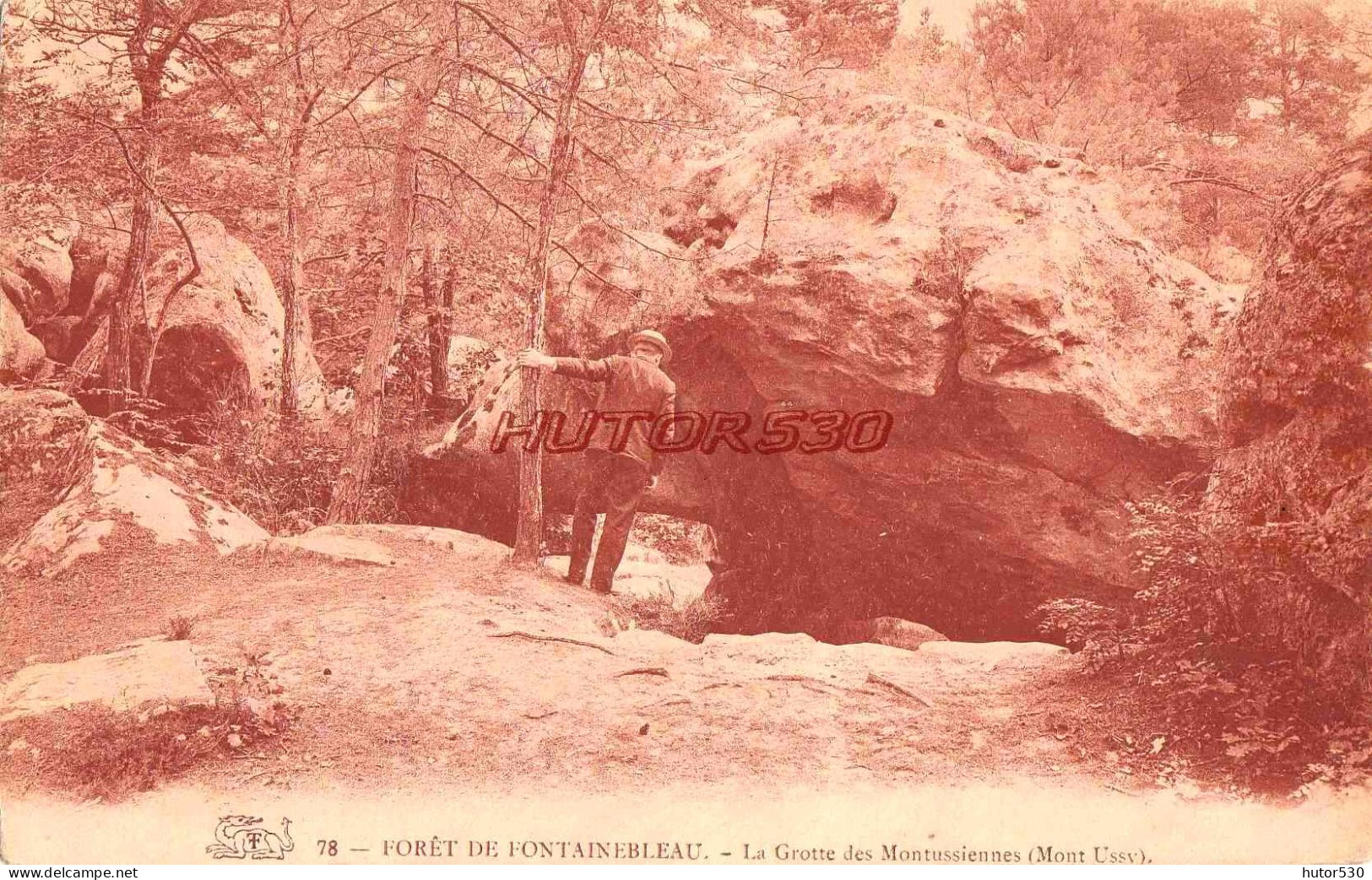 CPA FONTAINEBLEAU - FORET - LA GROTTE DES MONTUSSIENNES - Fontainebleau