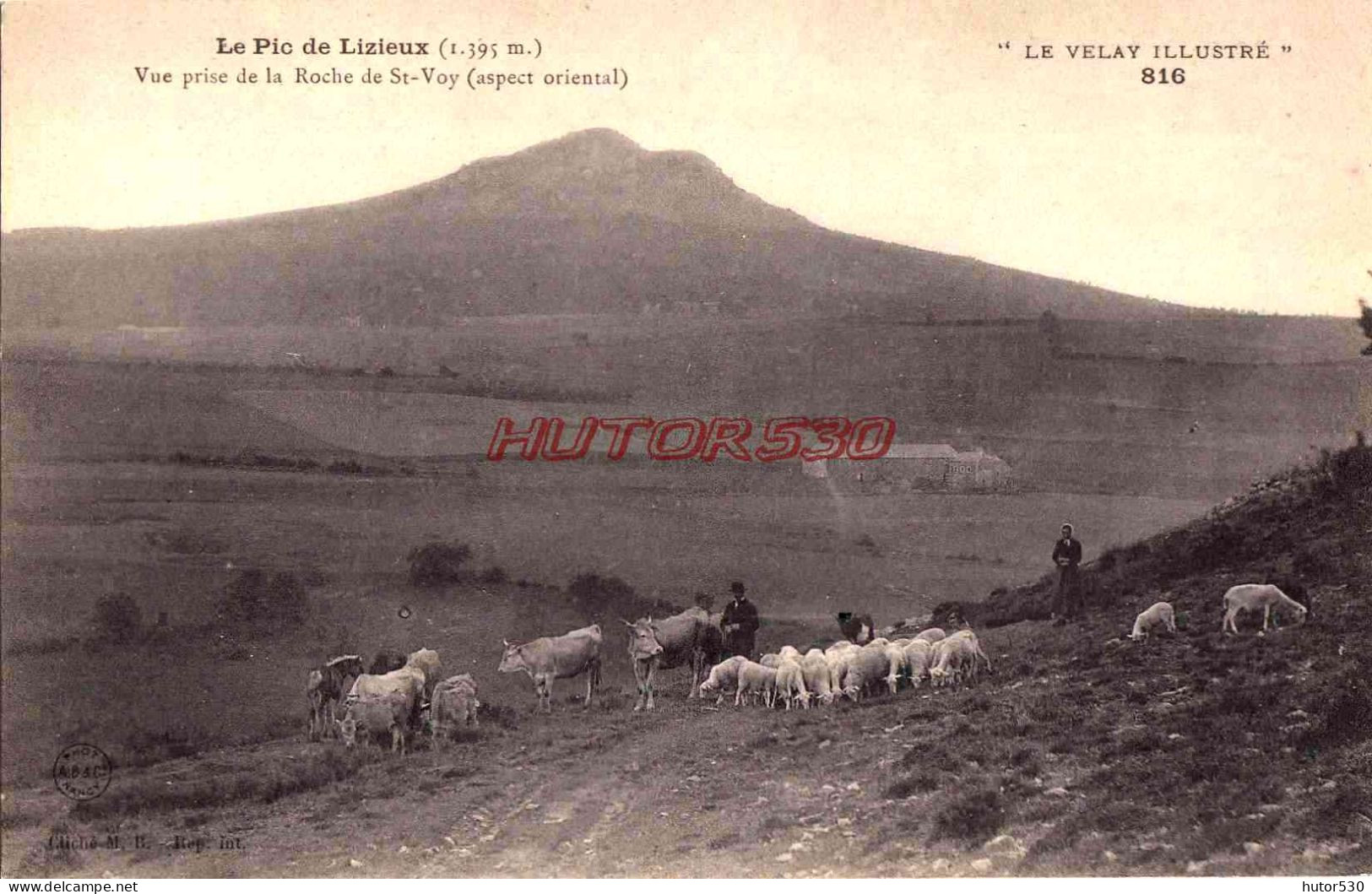 CPA VELAY - LE PIC DE LIZIEUX - TROUPEAU - Sonstige & Ohne Zuordnung