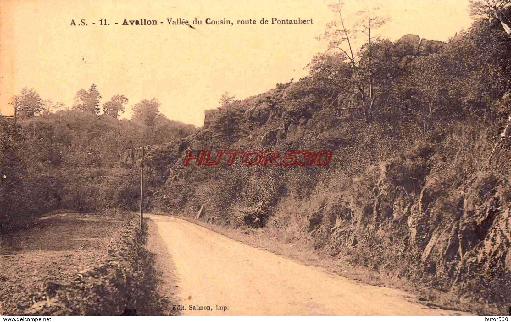 CPA AVALLON - ROUTE DE PONTAUBERT - VALLEE DU COUSIN - Avallon