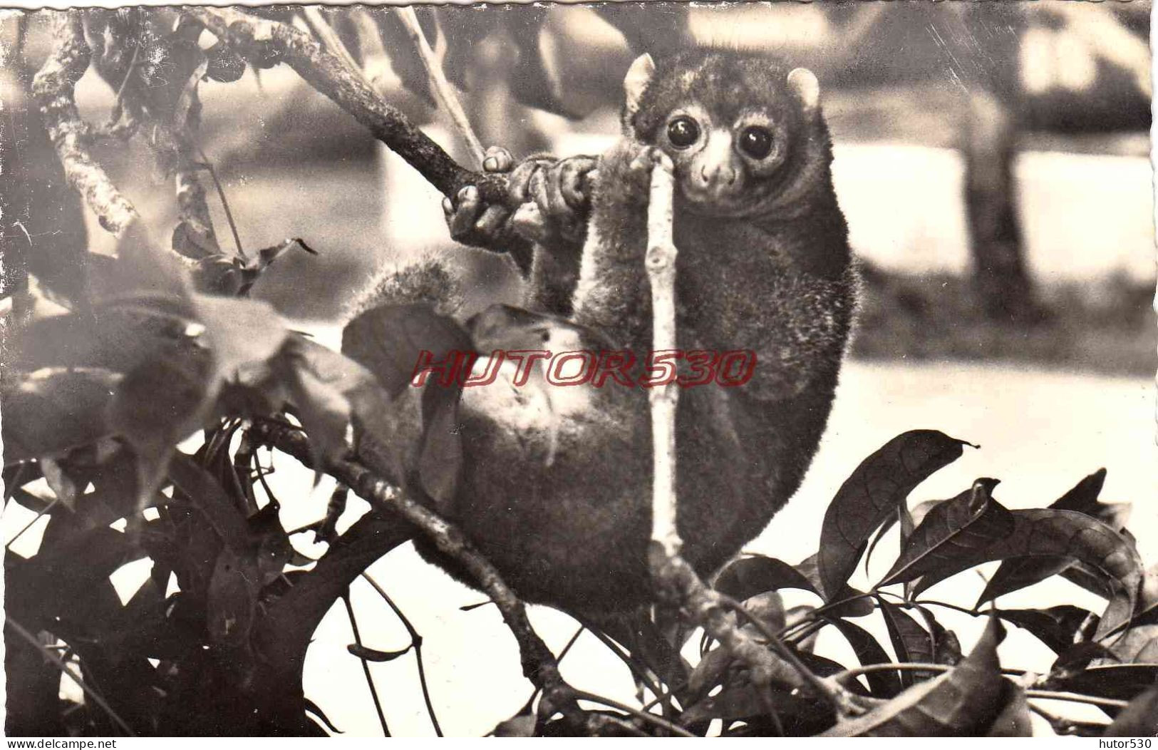 CPSM BRUXELLES - EXPOSITION UNIVERSELLE 1958 - CONGO BELGE - CALAGO POTTO - Weltausstellungen