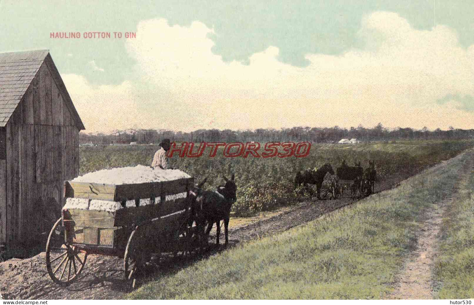 CPA COTTON - HAULING COTTON TO GIN - Autres & Non Classés