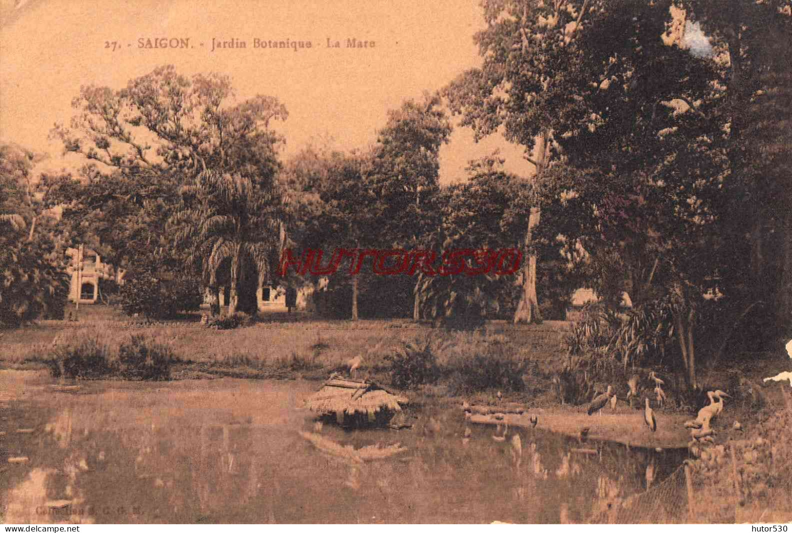 CPA SAIGON - JARDIN BOTANIQUE - Vietnam