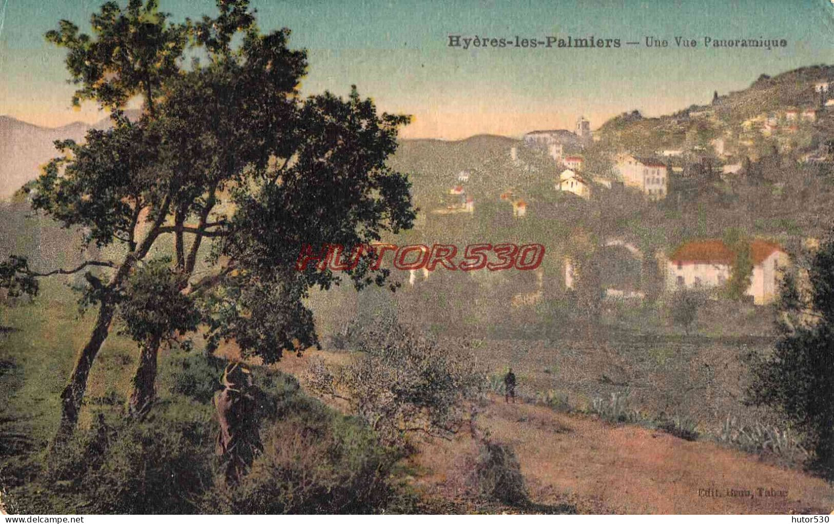 CPA HYERES - UNE VUE PANORAMIQUE - Hyeres