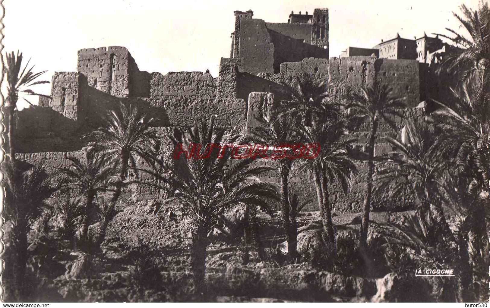 CPSM MAROC - KASBAH ET PALMERAIE - Other & Unclassified