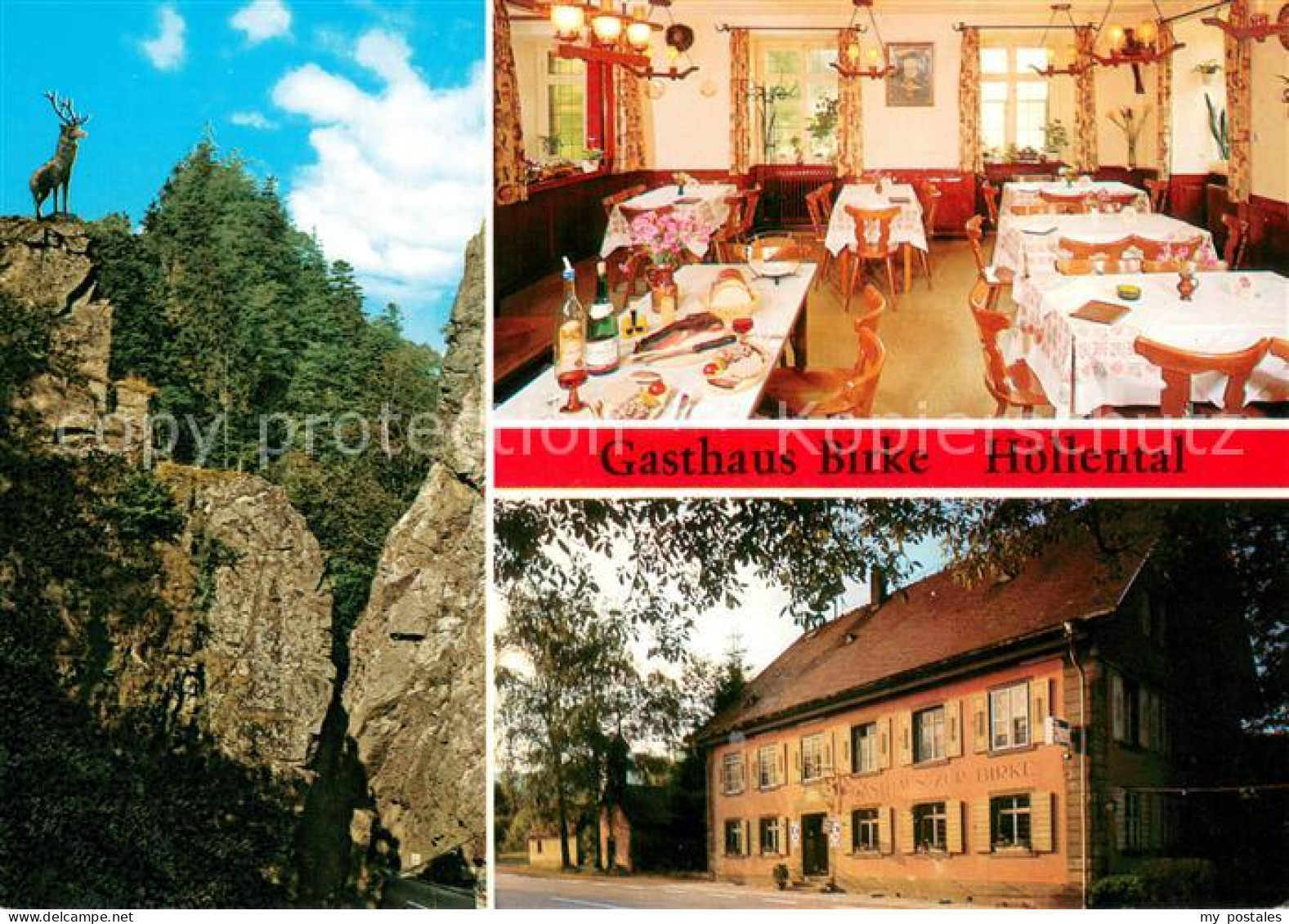 73646492 Burg Kirchzarten Gasthaus Pension Zur Birke Restaurant Hirschsprung Fel - Kirchzarten