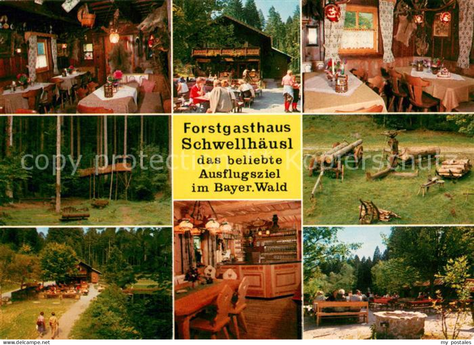 73646353 Zwiesel Niederbayern Forstgasthaus Schwellhaeusl Tastraeume Baumpfad Ba - Zwiesel