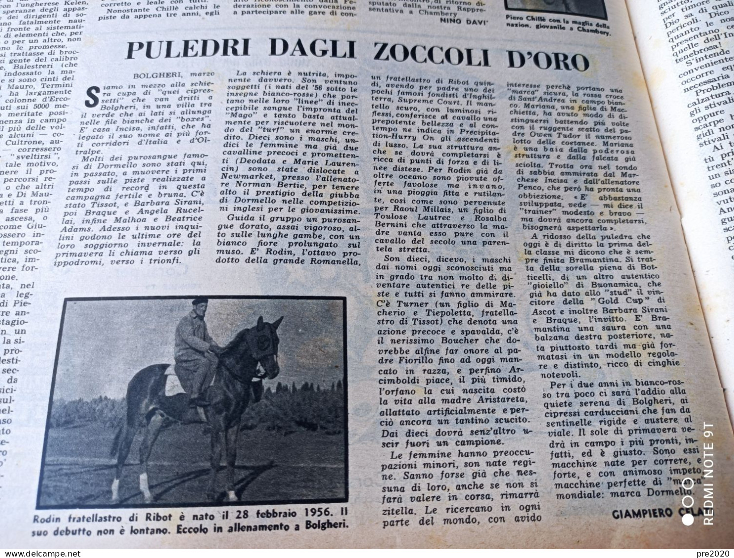 IL CAMPIONE 1958 BOLGHERI CHIESUOLA MONTESILVANO CLETO - Other & Unclassified