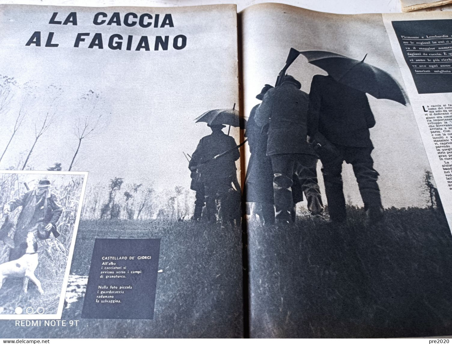 IL CAMPIONE 1958 RAIMONDO D’INZEO EQUITAZIONE CASTELLARO DE’ GIORGI ELVIS PRESLEY JULIETTE GRECO - Other & Unclassified