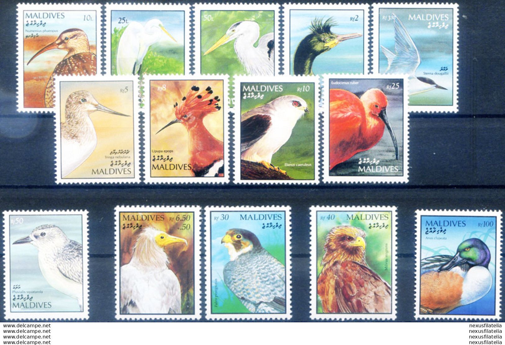 Definitiva. Uccelli 1991-1998. - Maldives (1965-...)