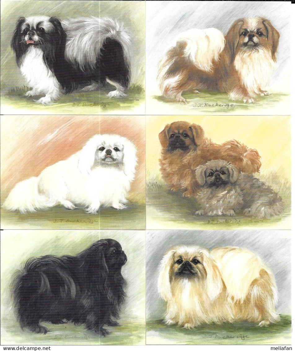 AB98 - SERIE 6 CARTES FORMAT 6 X 7.8 CM - IMPERIAL DOG COLLECTION - PEKINOIS - Other & Unclassified