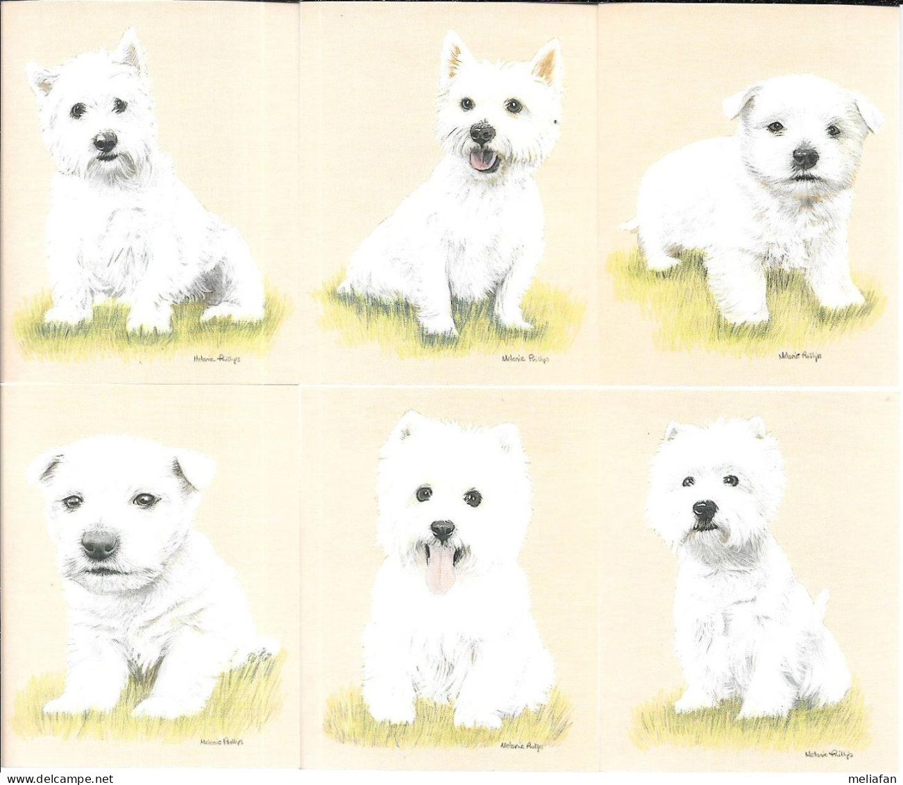 AB93 - SERIE 6 CARTES FORMAT 6 X 7.8 CM - IMPERIAL DOG COLLECTION CHIENS - WEST HIGHLAND - Other & Unclassified