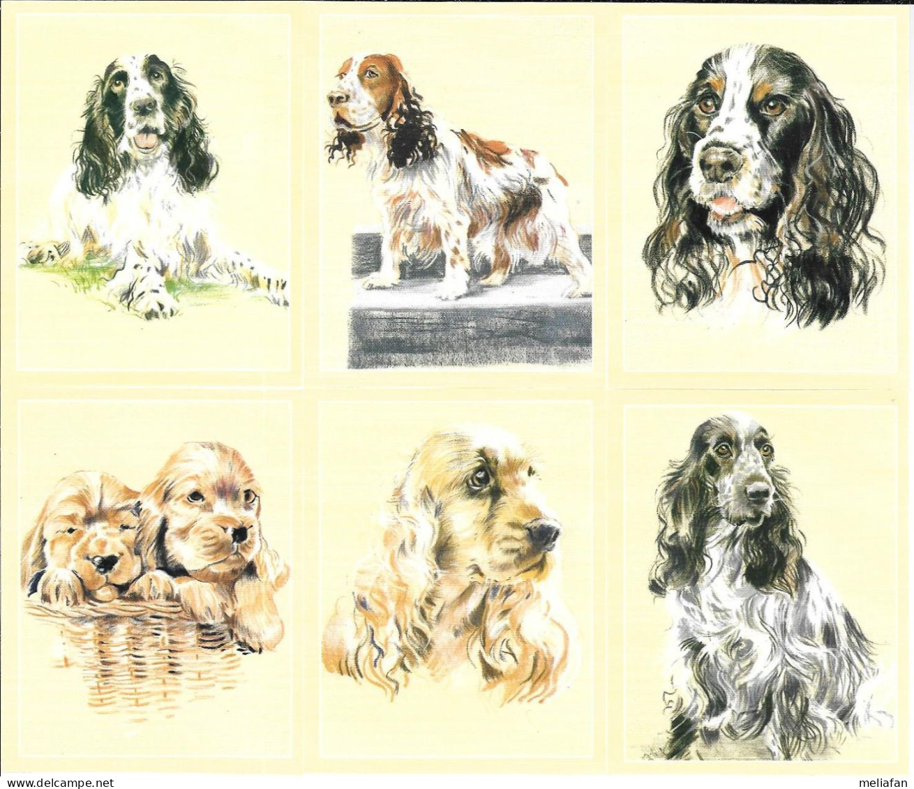 AB91 - SERIE 6 CARTES FORMAT 6 X 7.8 CM - PERIKIM CARDS CHIENS - COCKER - Autres & Non Classés