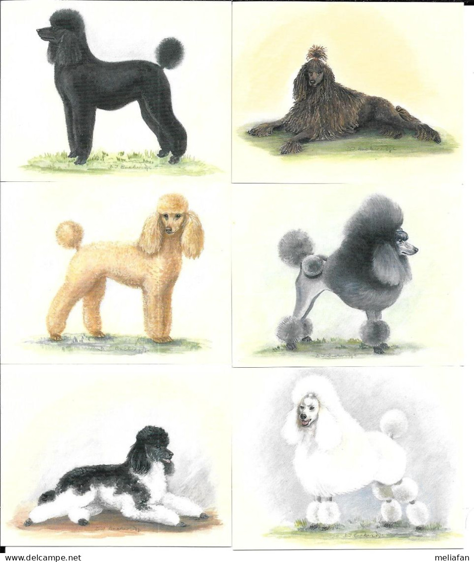 AB97 - SERIE 6 CARTES FORMAT 6 X 7.8 CM - IMPERIAL DOG COLLECTION  CHIENS - CANICHE - Sonstige & Ohne Zuordnung