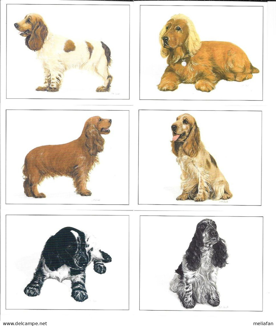 AB94 - SERIE 6 CARTES FORMAT 6 X 7.8 CM - IMPERIAL DOG COLLECTION CHIENS - COCKER - Sonstige & Ohne Zuordnung