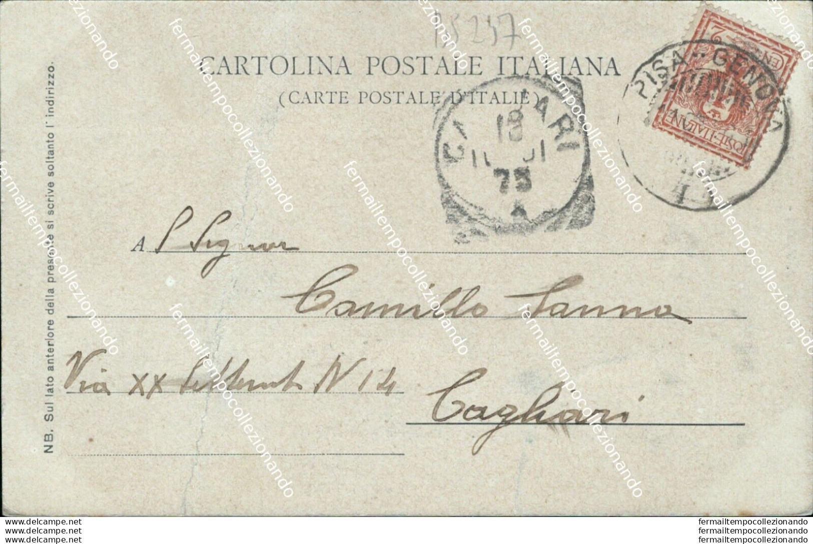 Bs237 Cartolina Sarzana Trebiano Dintorni  Provincia Di Spezia Liguria - La Spezia