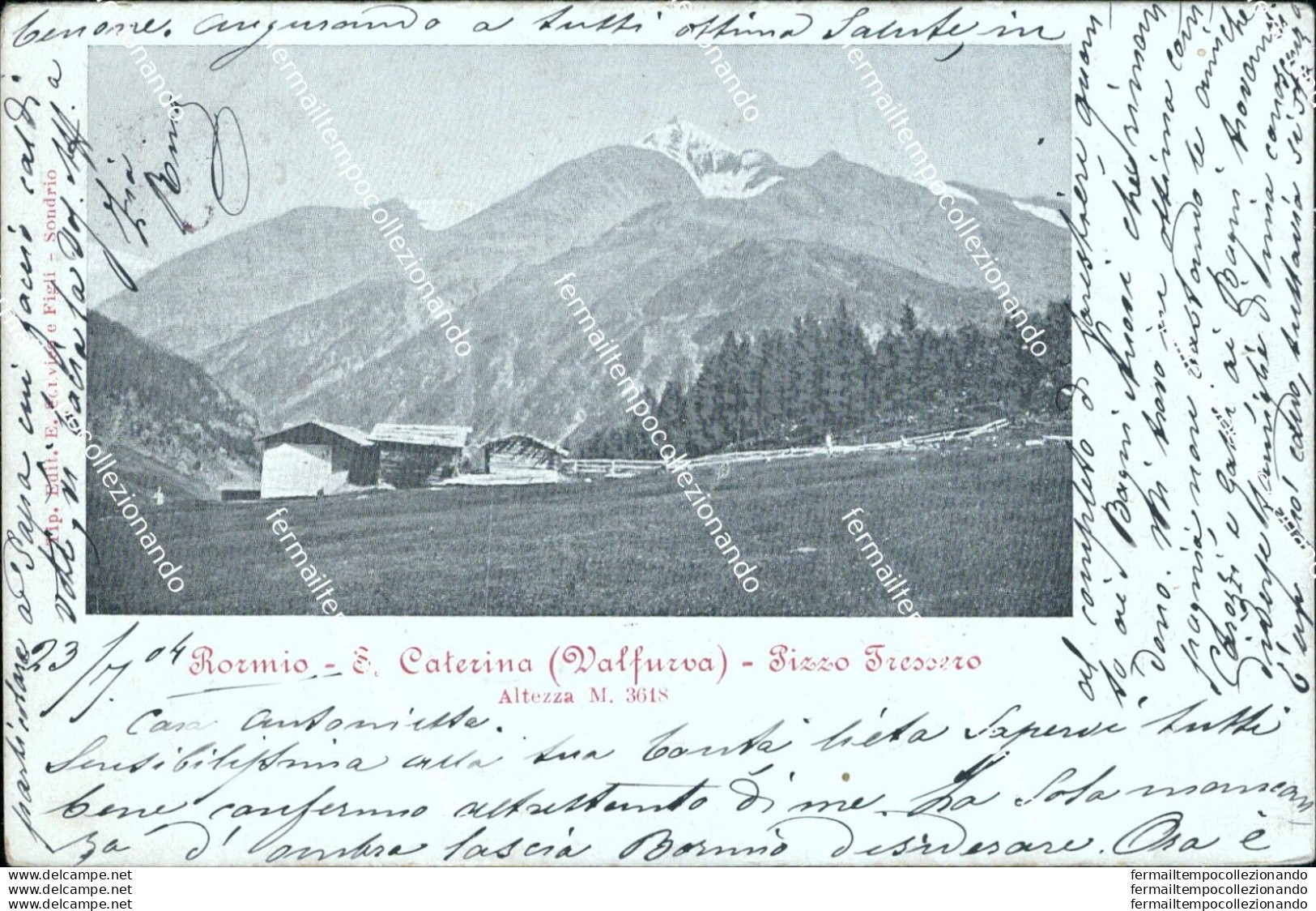 Bs47 Cartolina  Bormio S.caterina Valfurva Pizzo Tressero 1904 Sondrio Lombardia - Sondrio