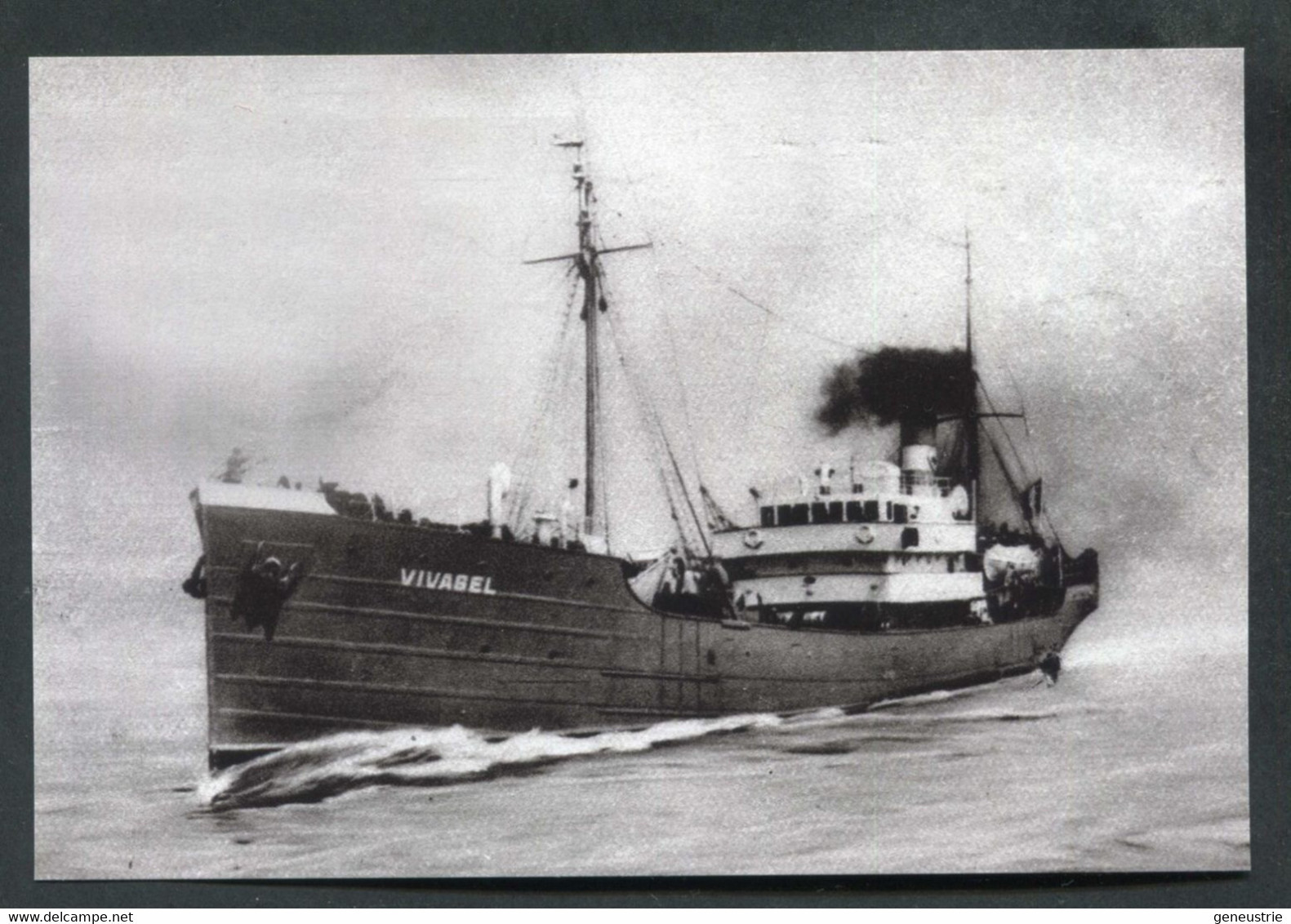 Carte-photo Moderne - Chalutier "Vivagel, Ex-Alfred Vieu" De Granville - Morutier - St Pierre-et-Miquelon - Granville