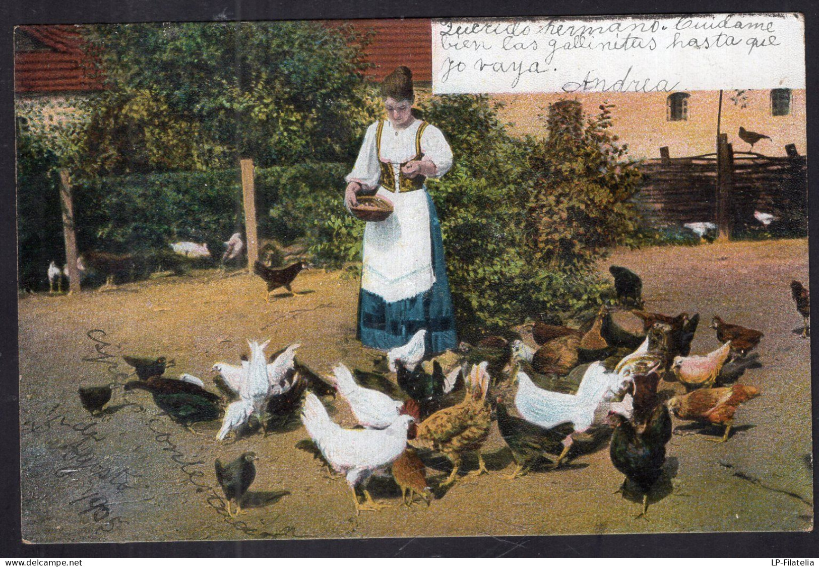 Postcard - 1905 - Woman Feeding Chickens - Frauen