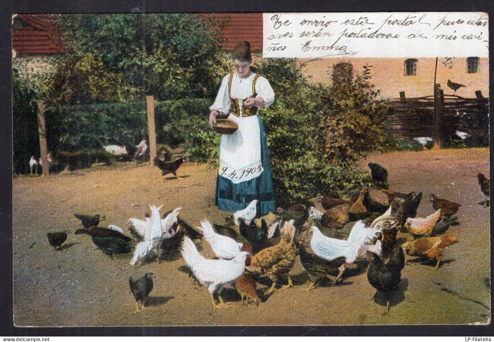 Postcard - 1905 - Woman Feeding Chickens - Frauen