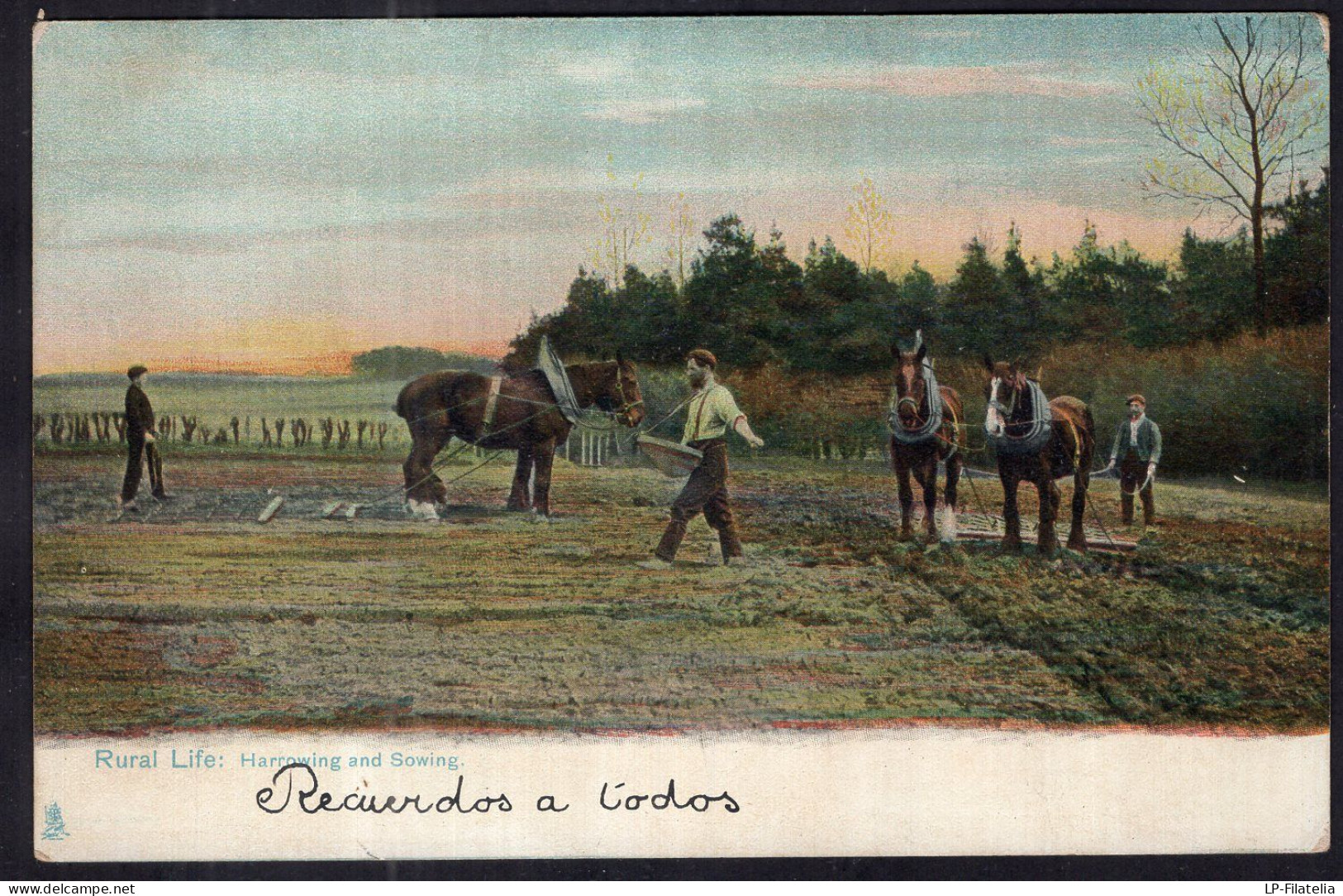 Postcard - Circa 1905 - Horses - Rural Life - Harrowing And Sowing - Caballos