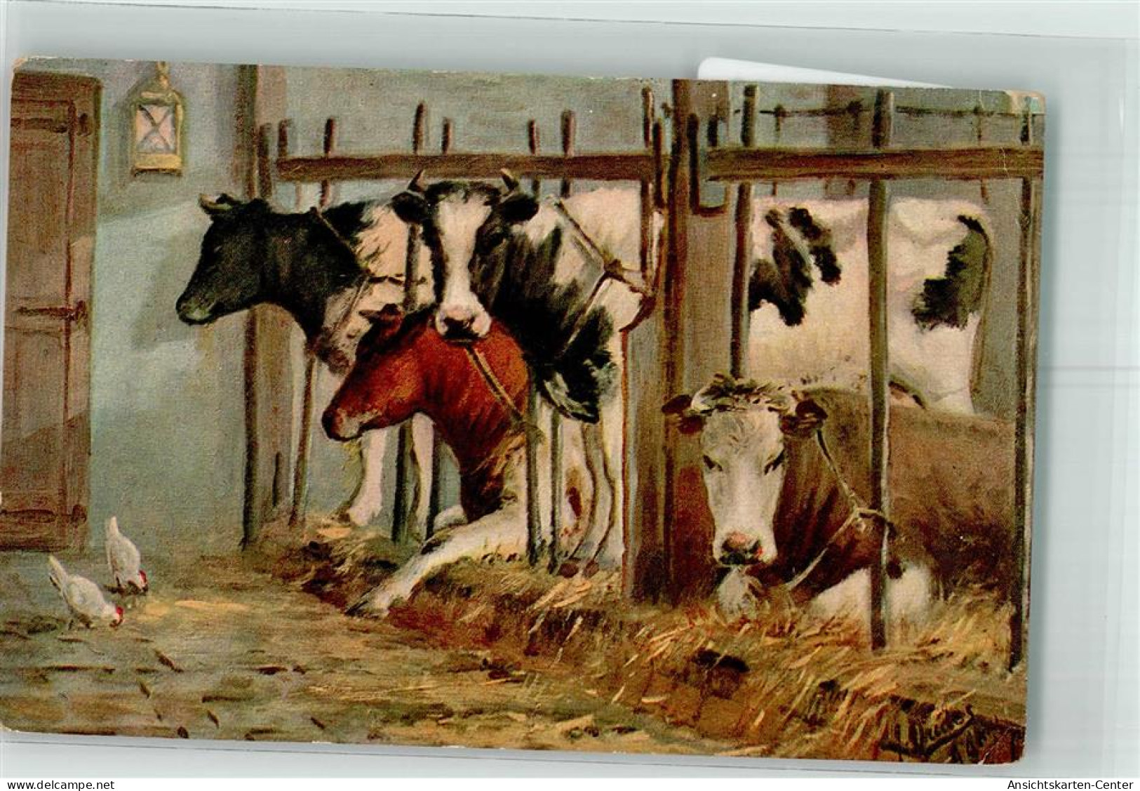 39748506 - Huehner - Cows