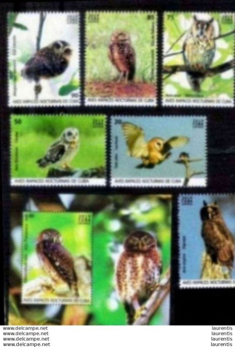 2861  Owls - Hiboux - 2019 - MNH - Cb - 2,95 - Eulenvögel