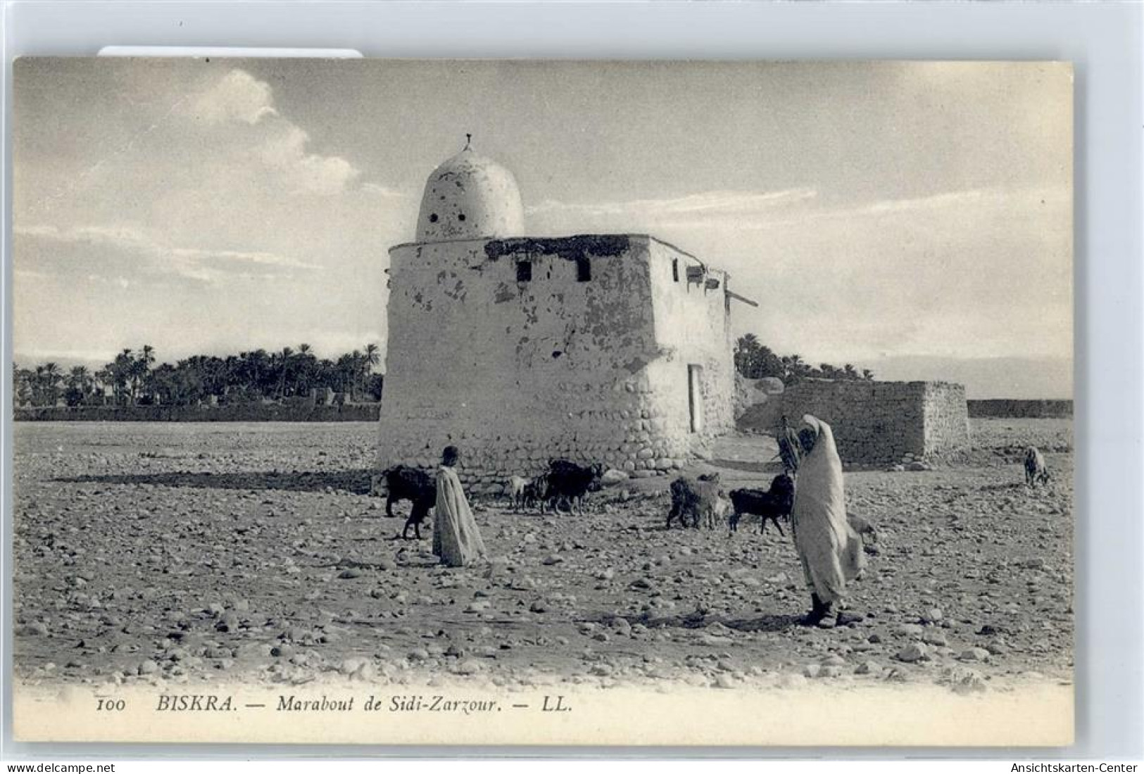 51192306 - Biskra - Andere & Zonder Classificatie