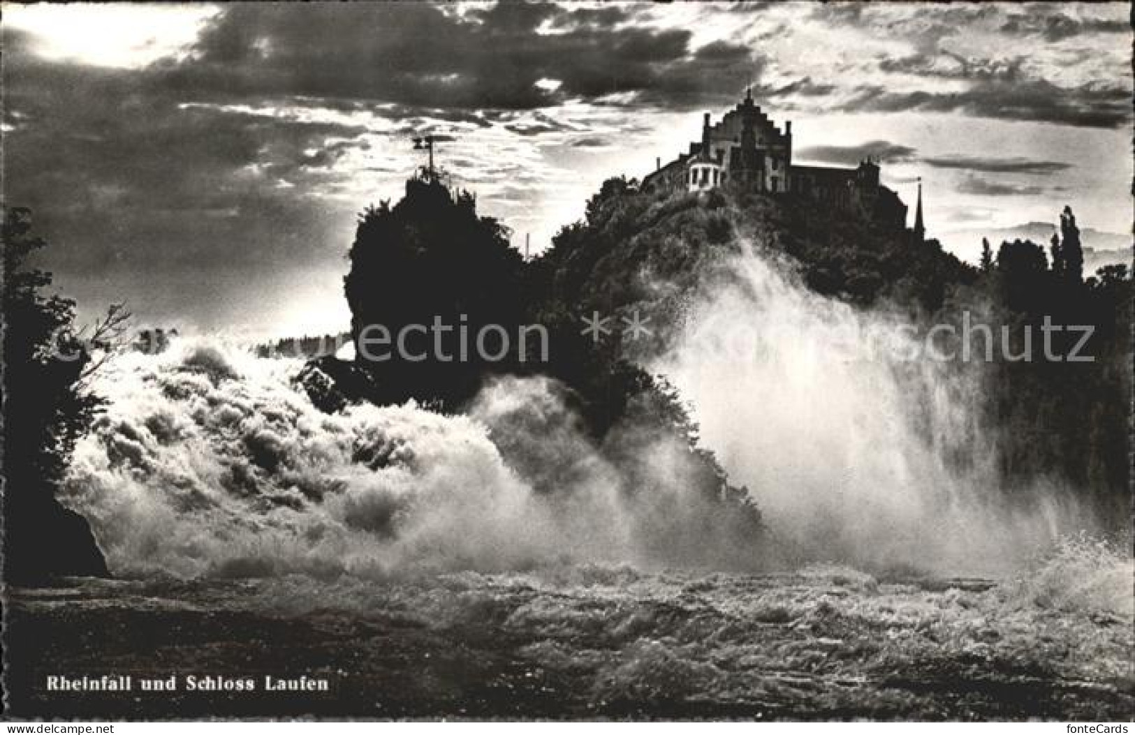 11886558 Rheinfall SH Schloss Laufen Rheinfall SH - Otros & Sin Clasificación