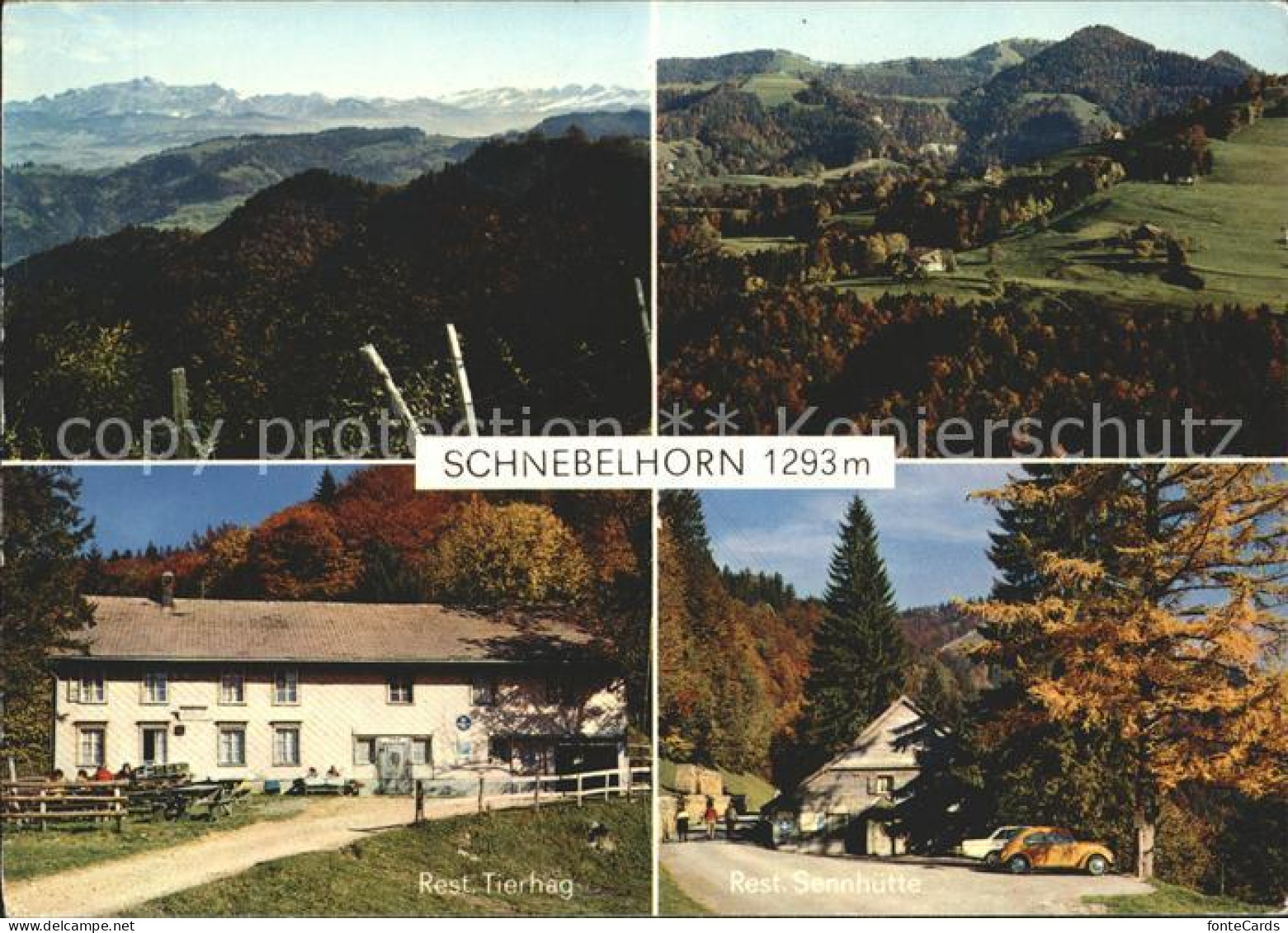 11886481 Schnebelhorn Panorama Restaurant Tierhag Und Sennhuette Schnebelhorn - Otros & Sin Clasificación