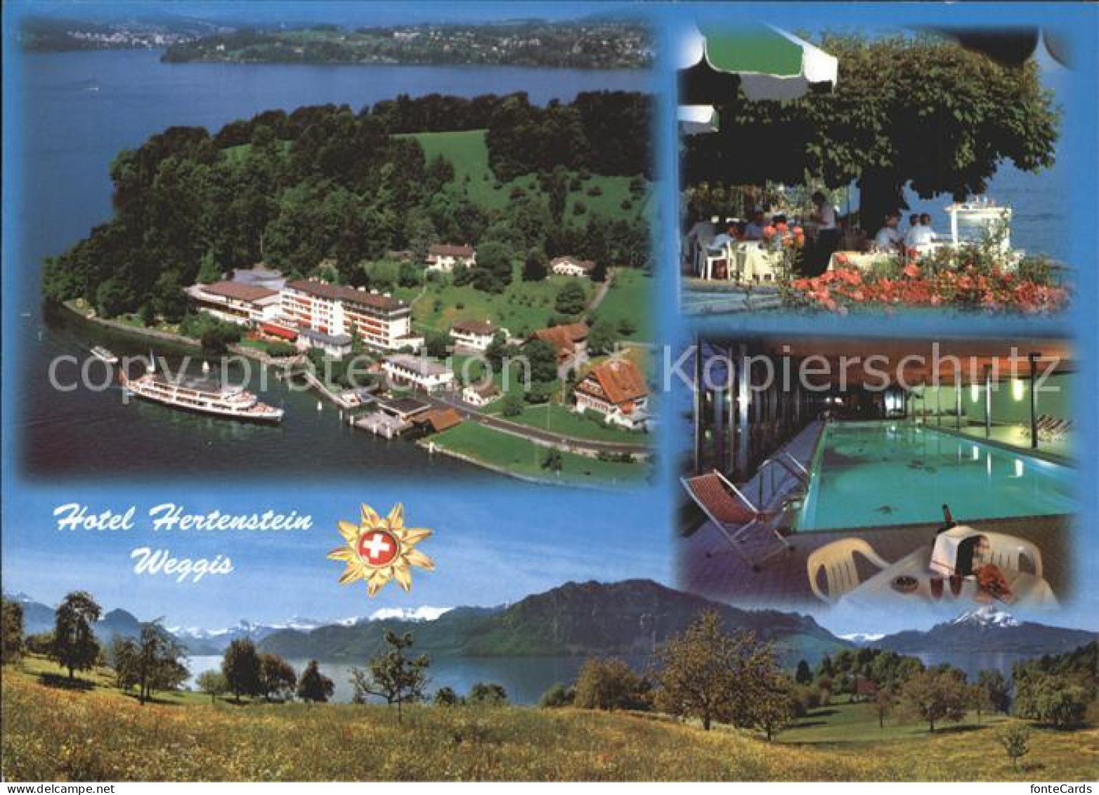 11886400 Weggis Vierwaldstaettersee Hotel Hertenstein Fliegeraufnahme Hallenbad  - Autres & Non Classés