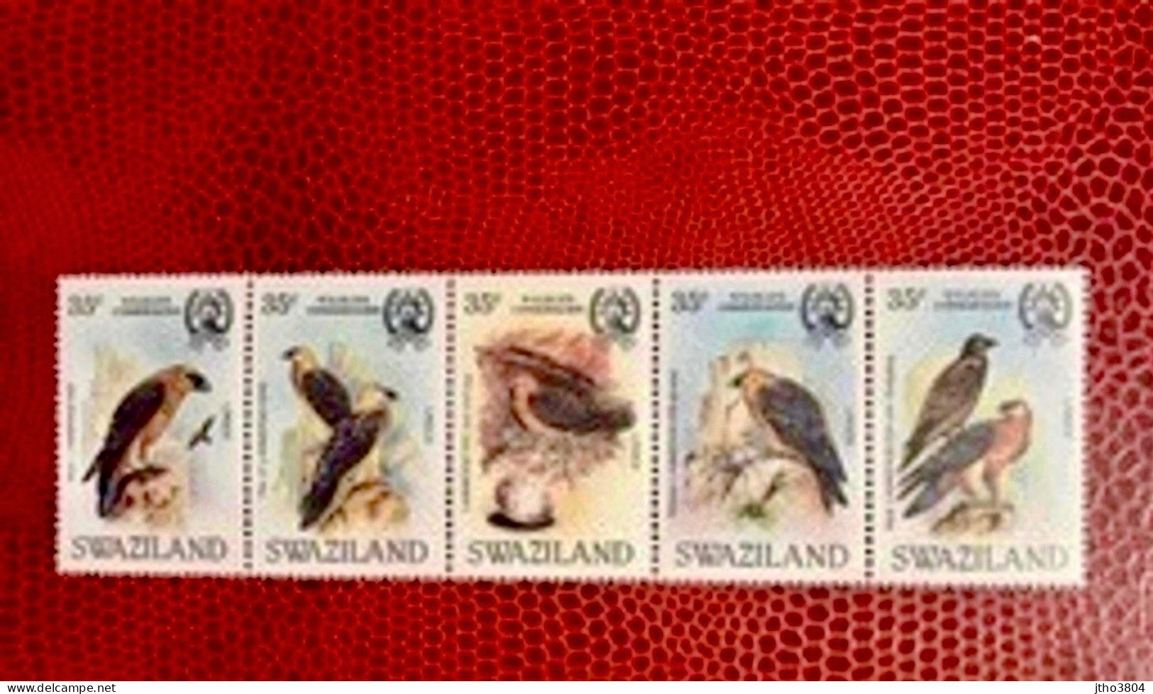 SWAZILAND WWF 1983 5v Neuf MNH ** Mi 324 / 428 Pájaro Bird Pássaro Vogel Ucello Oiseau - Ungebraucht