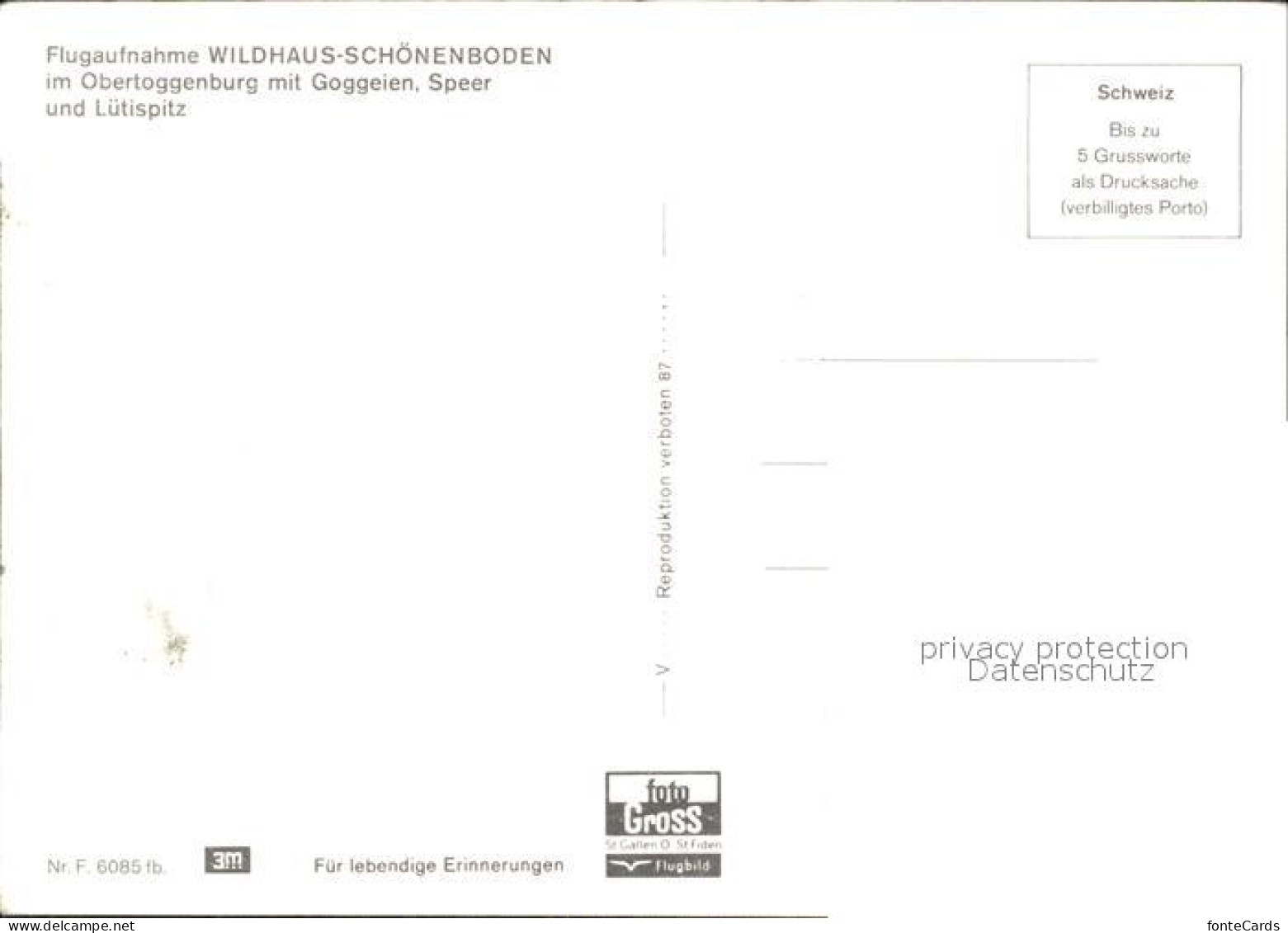 11886160 Wildhaus Schoenenboden Fliegeraufnahme Mit Goggeien Speer Und Luetispit - Otros & Sin Clasificación