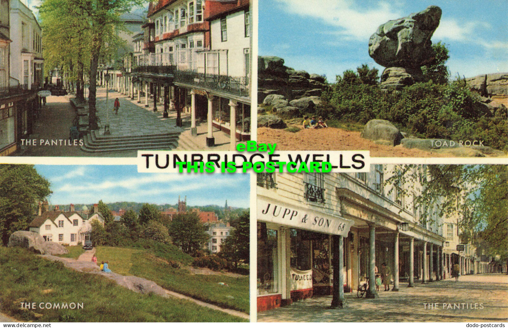 R573574 Tunbridge Wells. Salmon. Multi View - Monde