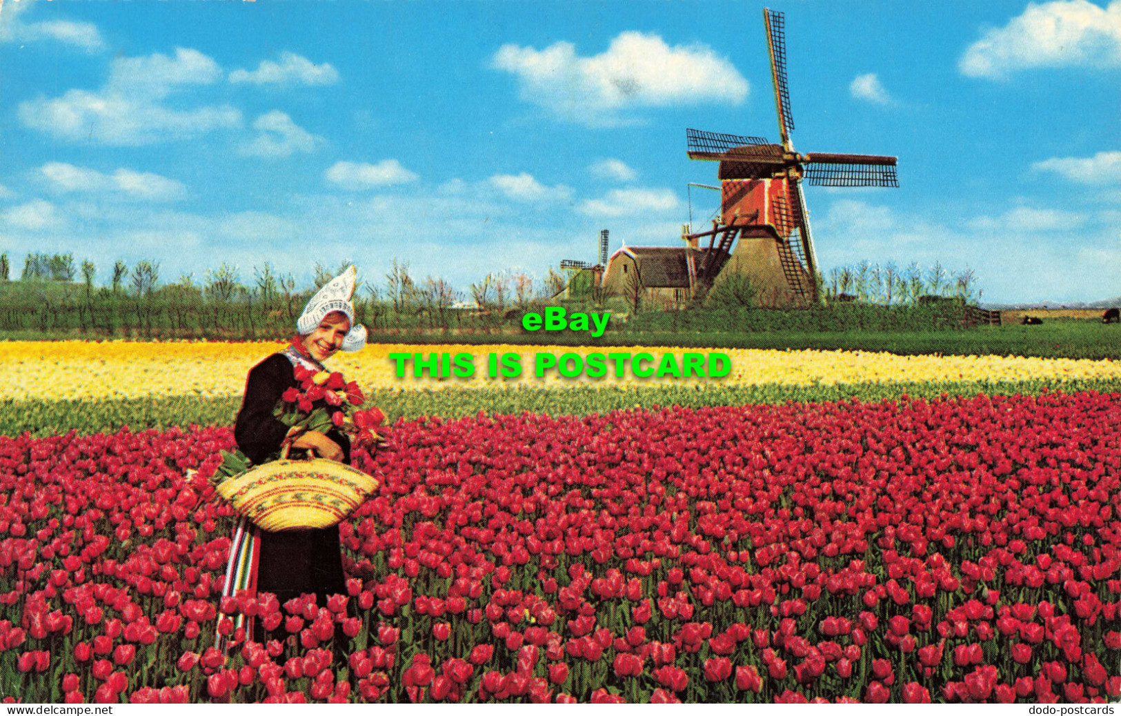 R573928 Holland. Land Of Flowers And Wind Mills. Kruger. 1965 - Monde