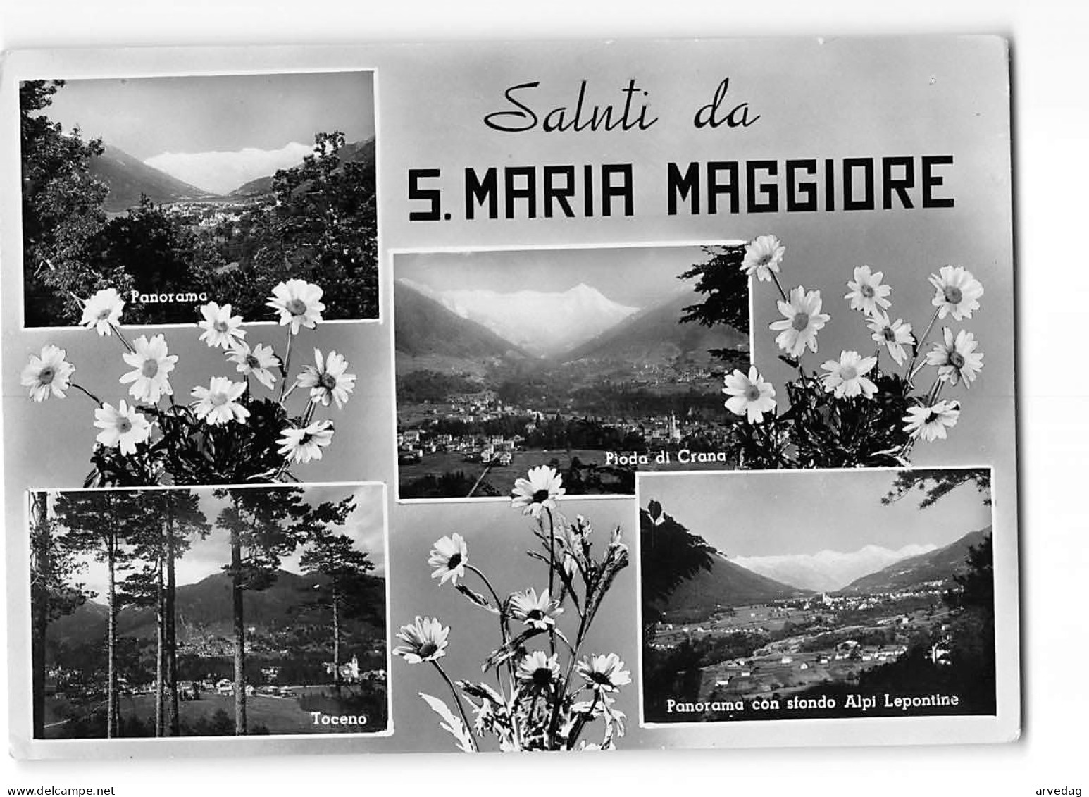 AG2544 SALUTI DA SANTA MARIA MAGGIORE - Saluti Da.../ Gruss Aus...