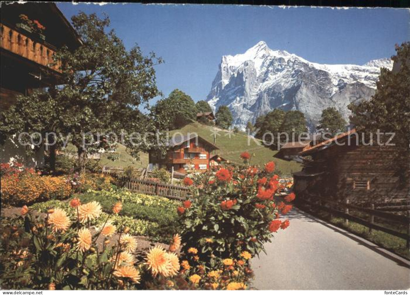11881080 Grindelwald Wetterhorn Grindelwald - Other & Unclassified