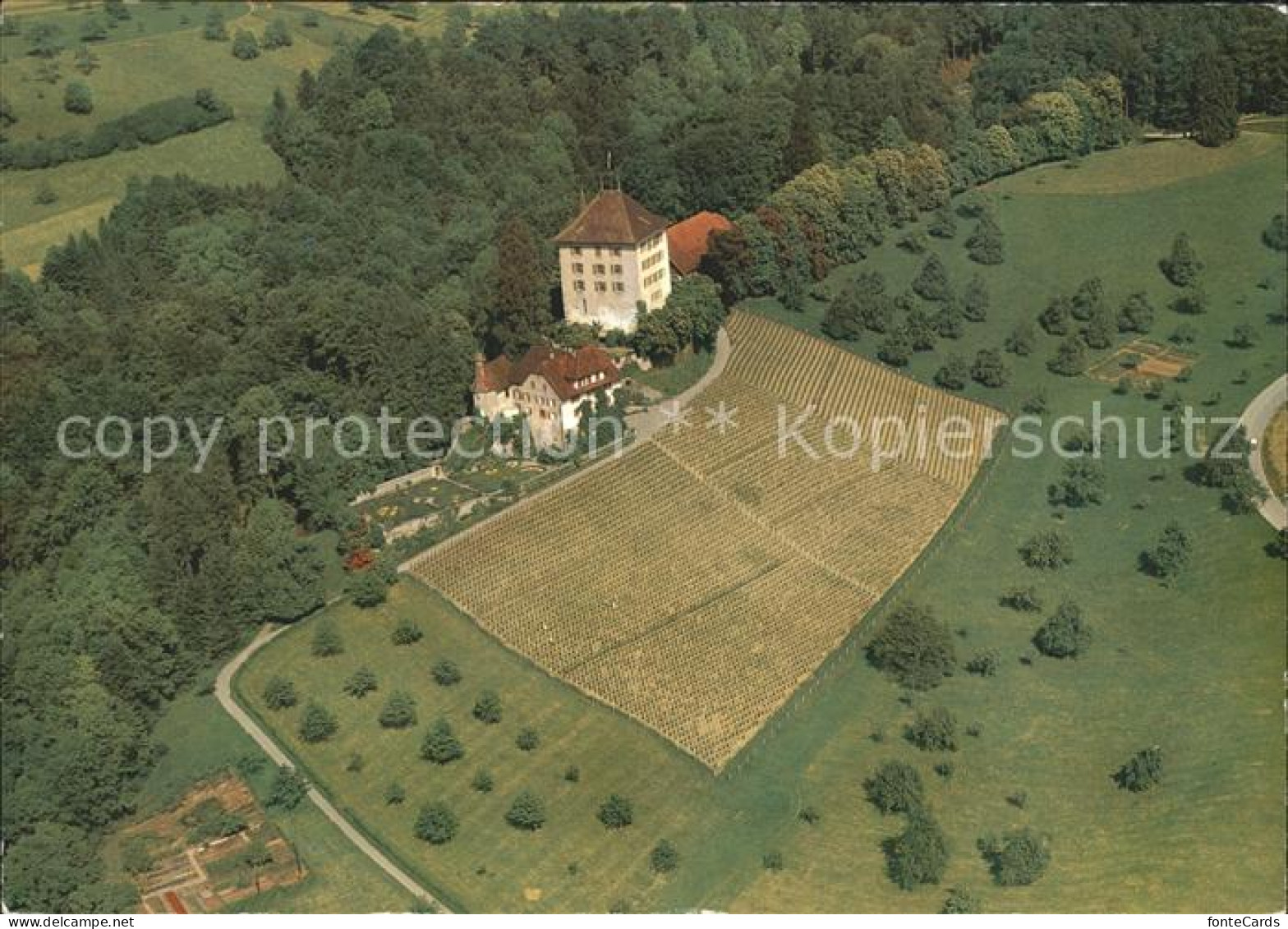 11880951 Gelfingen Schloss Heidegg Fliegeraufnahme Gelfingen - Autres & Non Classés