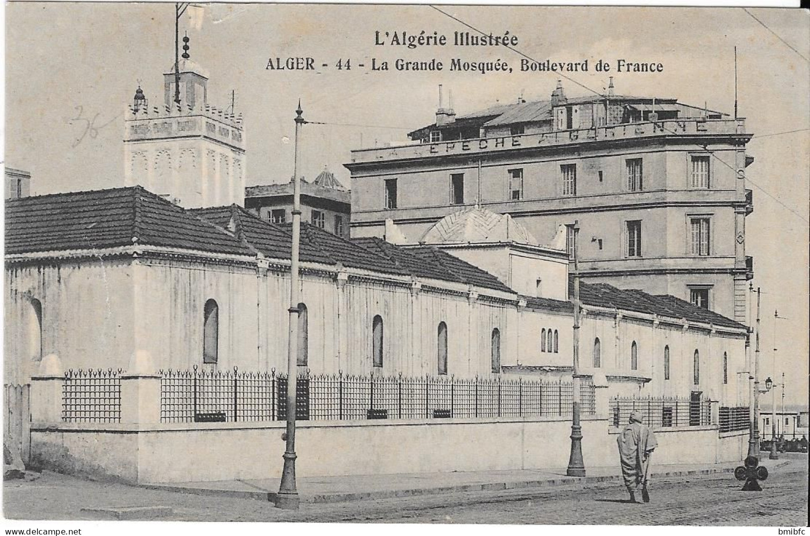 ALGER - La Grande Mosquée , Boulevard De France - Algiers