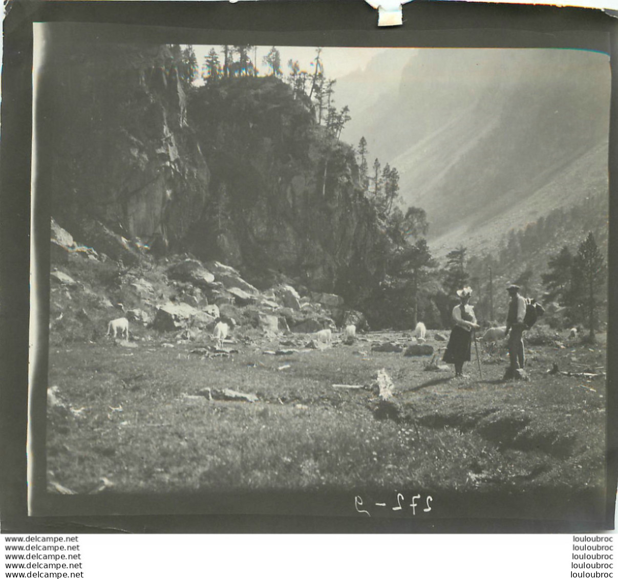 ALPES FRANCE OU SUISSE ALPINISME PHOTO ORIGINALE 13 X 10 CM N4 - Orte