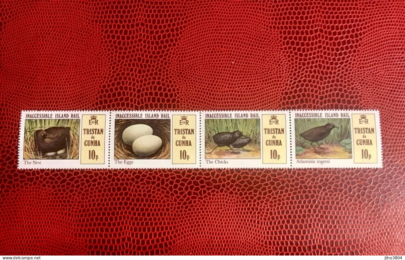 TRISTAN DA CUNHA HELENA 1981 4v Neuf MNH ** YT 298 / 301 Pájaro Bird Pássaro Vogel Ucello Oiseau HELENE - Patrijzen, Kwartels