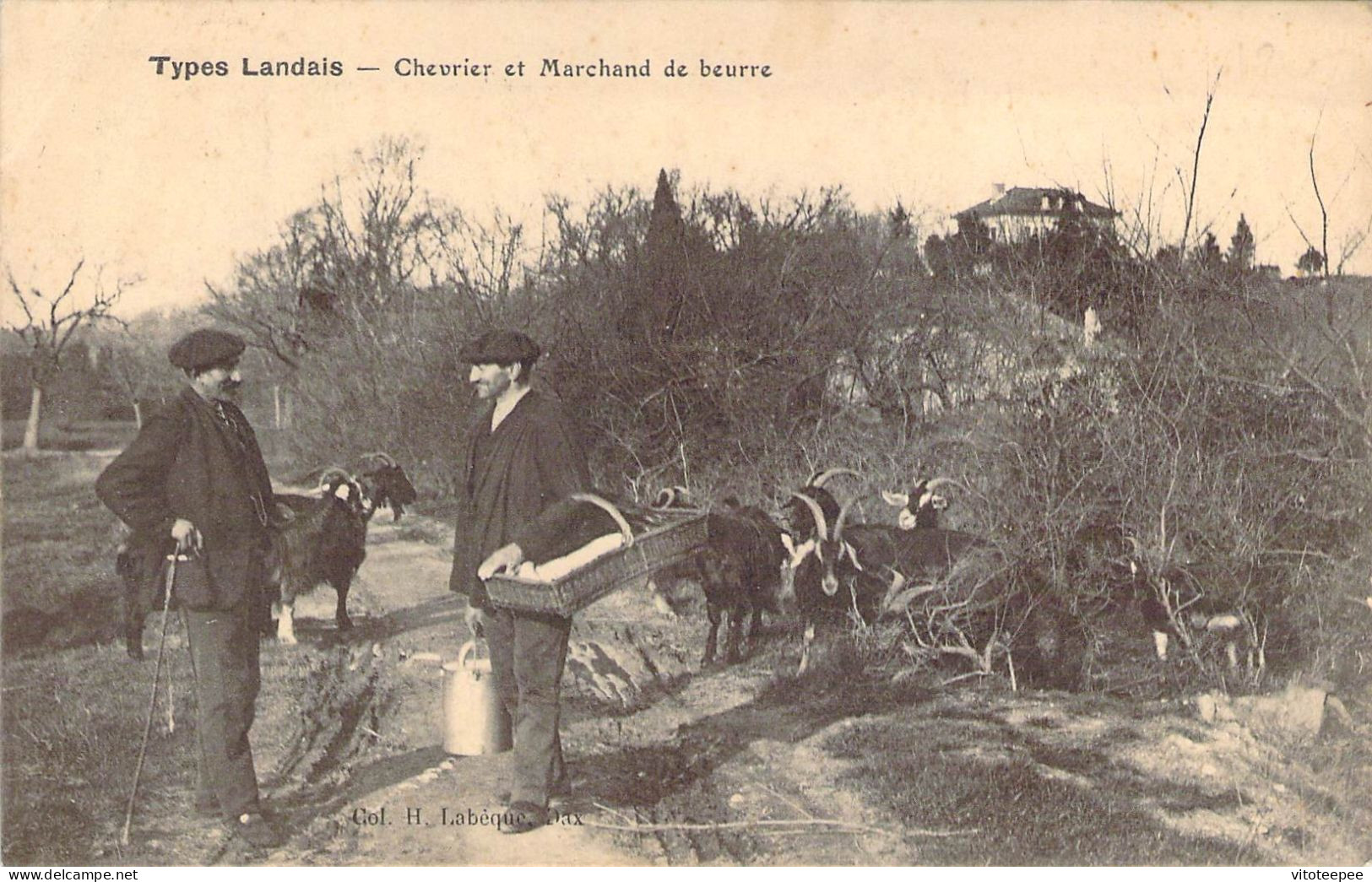 Chèvres, Chevrier Et Marchand De Beurre Landais - Other & Unclassified