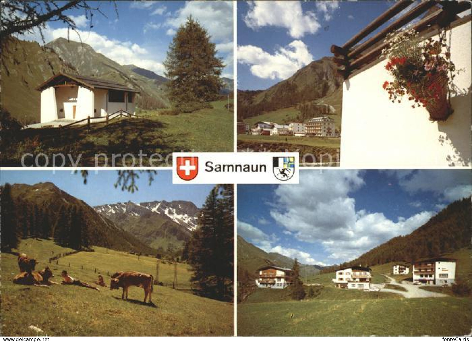 11880489 Samnaun GR Dorfmotive Viehweide  - Otros & Sin Clasificación