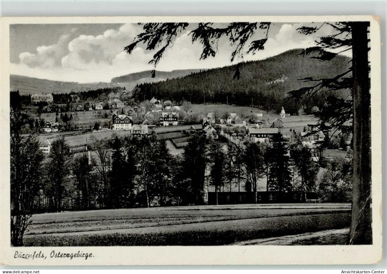 52188206 - Baerenfels - Altenberg