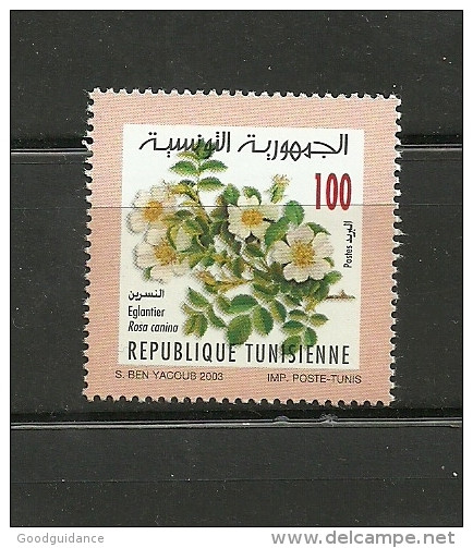 Fauna And Flora In Tunisia : Wild Dog Rose - Tunisia (1956-...)