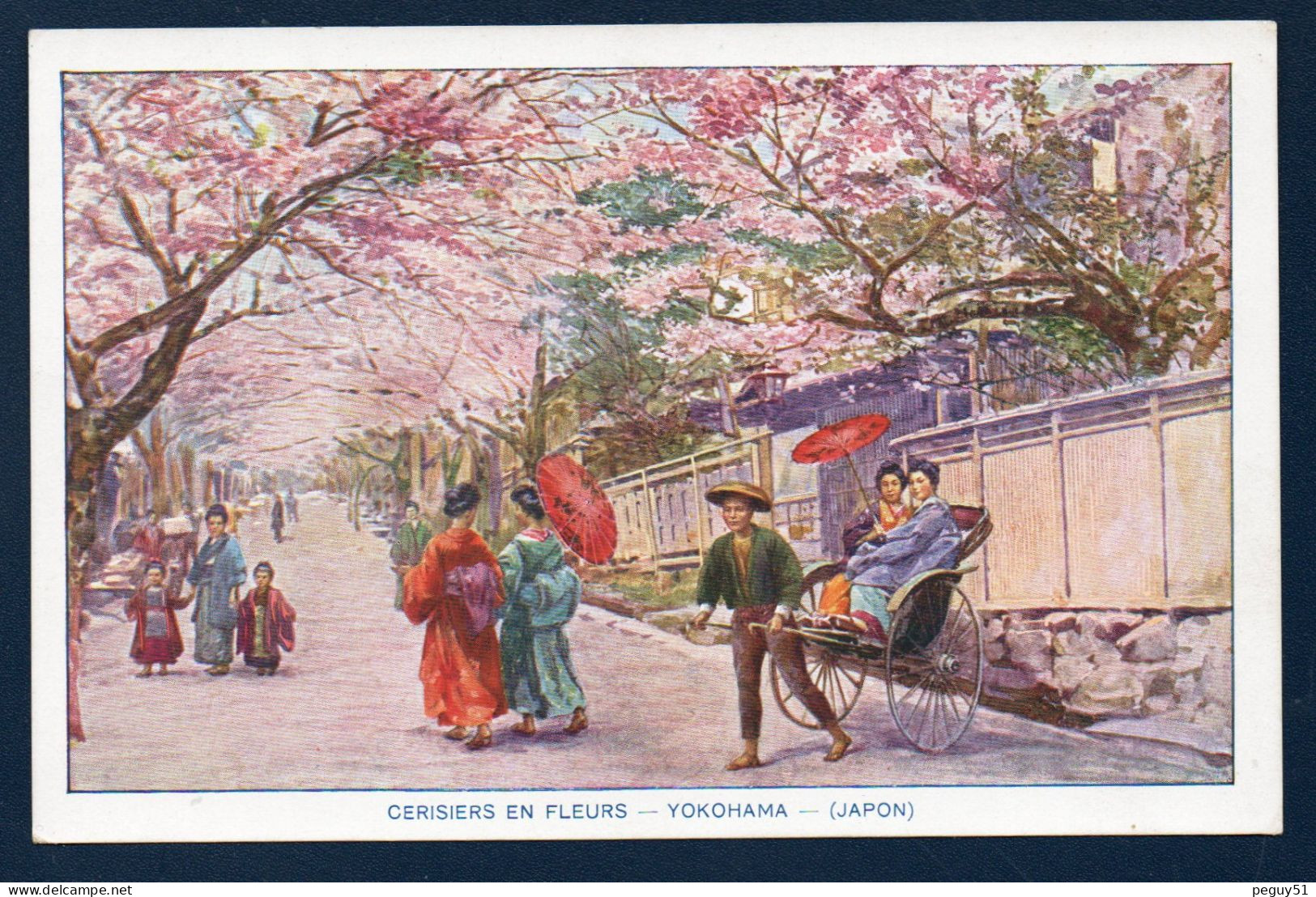 Honshu ( Préfécture De Kanawaga). Yokohama. Cerisiers En Fleurs. - Yokohama