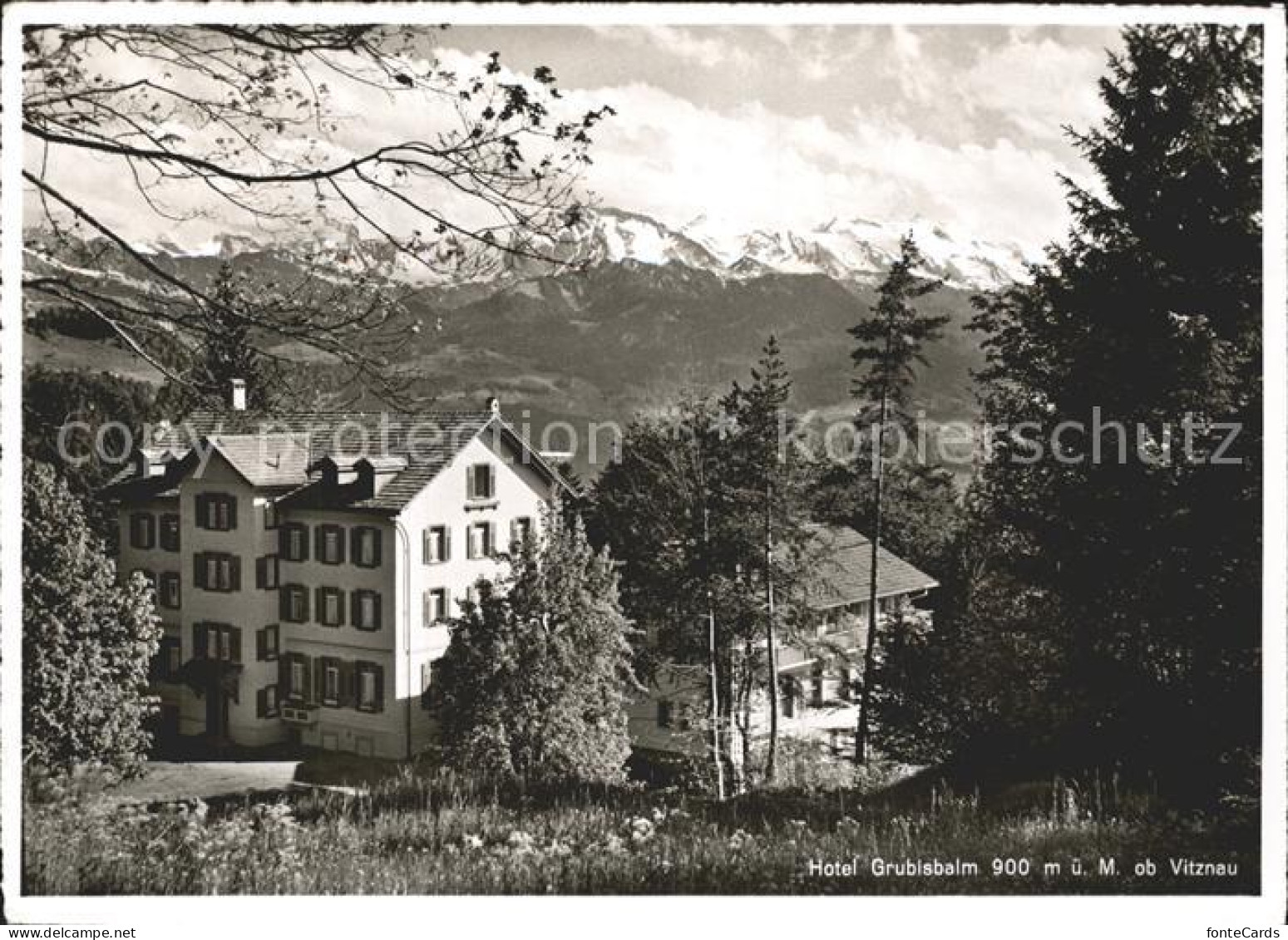 11879134 Vitznau Hotel Grubisbalm Vitznau - Altri & Non Classificati