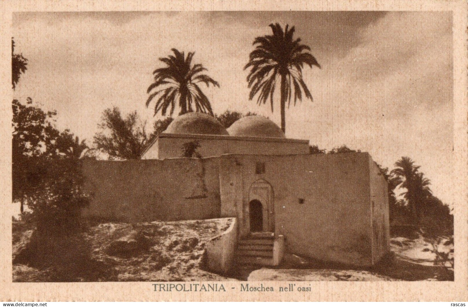 CPA - P - LYBIE - TRIPOLITAINE - TRIPOLITANIA - MOSCHEA NELL' OASI - MOSQUEE DANS L'OASIS - Libye