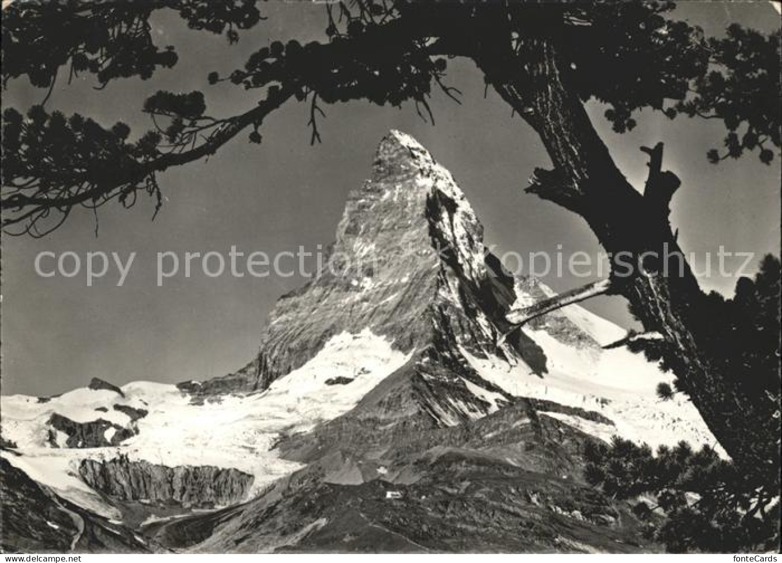 11879008 Zermatt VS Rifelalp Matterhorn   - Otros & Sin Clasificación